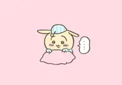 ちゃーちゃ様　専用