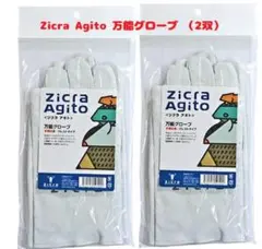 Item thumbnail for item a7824909-b8a4-4bd0-911c-94b9c6aec0e4