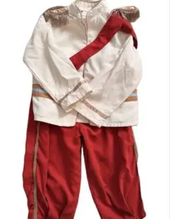 バースデイ　cottoli シンデレラ　プリンスチャーミング110ディズニー