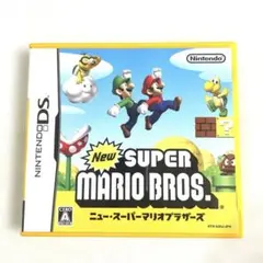 送料無料　DS ニュースーパーマリオブラザーズ