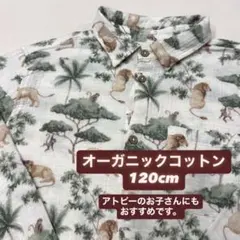 オーガニックコットン イギリスブランド　シャツ122cm