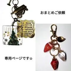 ✨☘️更紗☘️✨様 リクエスト 2点 まとめ商品