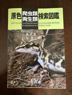 Item thumbnail for item 00415c6b-22e7-4305-8401-52716b0675b4