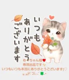 めーちゃん様❣️専用出品です✨