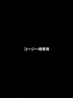 コージー様専用
