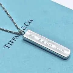 Tiffany & Co. ネックレス　ナロー　バー　チタン　サーファー Tiffany & Co. ネックレス ナロー バー チタン サーファー