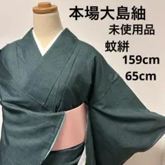 ✨早い者勝ち！お値下げ始めました✨未使用に近い　着物　大島紬 大島紬 星空ドット - からん::アンティーク着物・リサイクル着物の通販