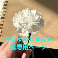 M ★じゅんじゅん★様専用ページ