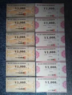 ビックカメラ・コジマ株主優待券12000円分