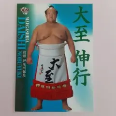 新品•未使用•非売品】相撲 遠藤関化粧廻し バスタオル - メルカリ