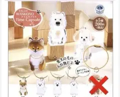 わんこのタイムカプセル　キーホルダー　まめ　ラテ 　モコ　モカ　新品