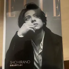 増刊 ELLE JAPON 特別版 2023年11月号