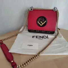 FENDI ショルダーバッグ ズッカ柄　キャナイエフ