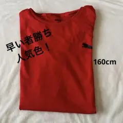 PUMA レッド Tシャツ 160cm