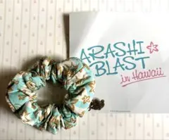 Item thumbnail for item 6ad48e91-8235-426c-9dc9-fcb8c3d53061