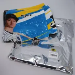 Item thumbnail for item a7b285cd-9318-4242-9b08-e9de6ed8ccf2