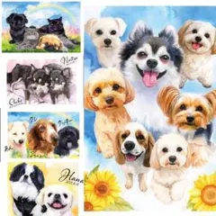 Item thumbnail for item a91fb142-95b0-46cd-a98a-8175285f3aa6