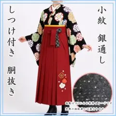 607Q14〇小紋 銀通し 梅 黒 胴抜〇しつけ付き美品 舞台衣装 撮影 先生袴のサムネイル