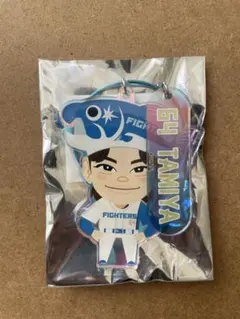 2026年最新】田宮裕涼 アクリルキーホルダーの人気アイテム - メルカリ