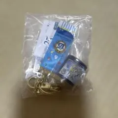 東京ディズニーシー 15周年 キーチェーン