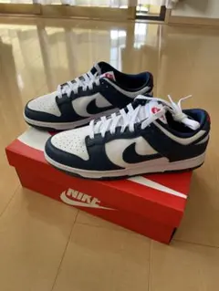NIKE DUNK LOW RETRO / Valerian blue