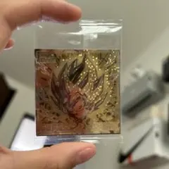 ドラゴンボールウエハース 陽太様専用