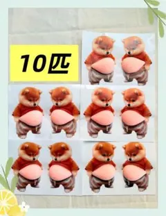 柴犬シール　お腹ぷにぷにシール　10枚セット　まとめ売り　プニプニ　大人気