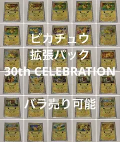 プレシャスコレクターボックス ピカチュウ プロモ160/159英語版 - メルカリ