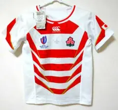 ラグビー日本代表2019