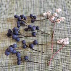 2026年最新】シャリンバイの実の人気アイテム - メルカリ