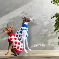 【SALE】ポルカアイコン※ブルーのみのサムネイル