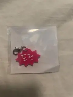 themomentum ドヨン アクリルチャーム NCT127 DOYOUNG