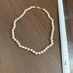 Item thumbnail for item cda8ac1e-c0d2-483d-978a-27a99c76b1b1