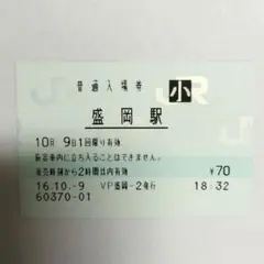 現地購入的中馬券 ビワハヤヒデ 菊花賞 - メルカリ