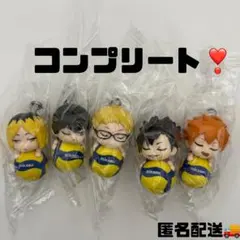 ハイキュー!!×MIKASA めじるしマスコット おやすみタイム 全5種　コンプ