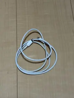 USB-C to Lightning ケーブル 100cm