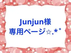 Junjun様専用ページ✩.*˚