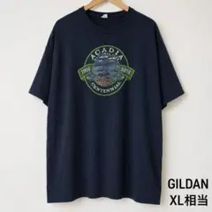 GILDAN アカディア Tシャツ ブラック XL相当 USA古着 クルーネック