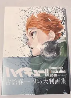 ハイキュー‼︎ Complete Illustration Book 大判画集