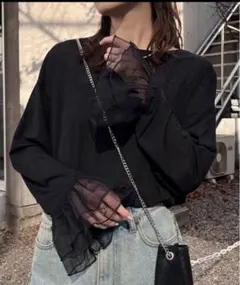 袖レース切替アソートフレアスリーブシアーTee 黒