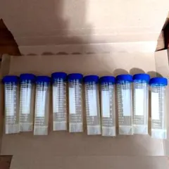 Item thumbnail for item 6342f18c-1ad7-452a-9ade-82b143f0bce6