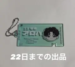 超特急 アロハ EVE チケットキーホルダー