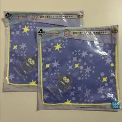 一番くじ 動物園 G賞 動物の赤ちゃん うとうと刺繍タオルエゾフクロウ2枚セット