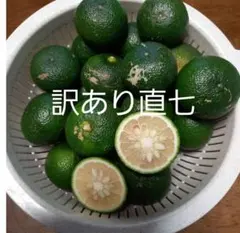 訳あり直七すだち コンパクト詰めのサムネイル