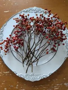 Item thumbnail for item 7e8e5334-c8fe-4dc6-a3ee-b6fb0e167c9a