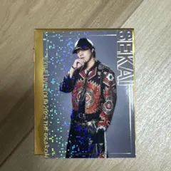 【即購入⭕️】THE REASON EXILE世界フォトカ　シクレ