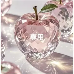 ゆうちゃみ様 リクエスト 4点 まとめ商品