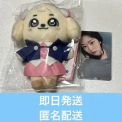 2026年最新】ive minive ユジンの人気アイテム - メルカリ