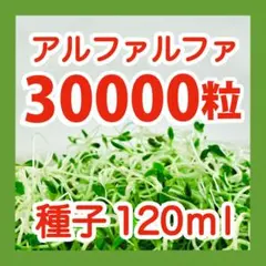 tamafo様 リクエスト 2点 まとめ商品