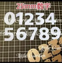 Item thumbnail for item 7dc980e2-41e2-4538-ac85-b555418bc907